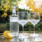 Zest Gin & Tonic Pair Copa Glasses - Gallery Gifts Online 